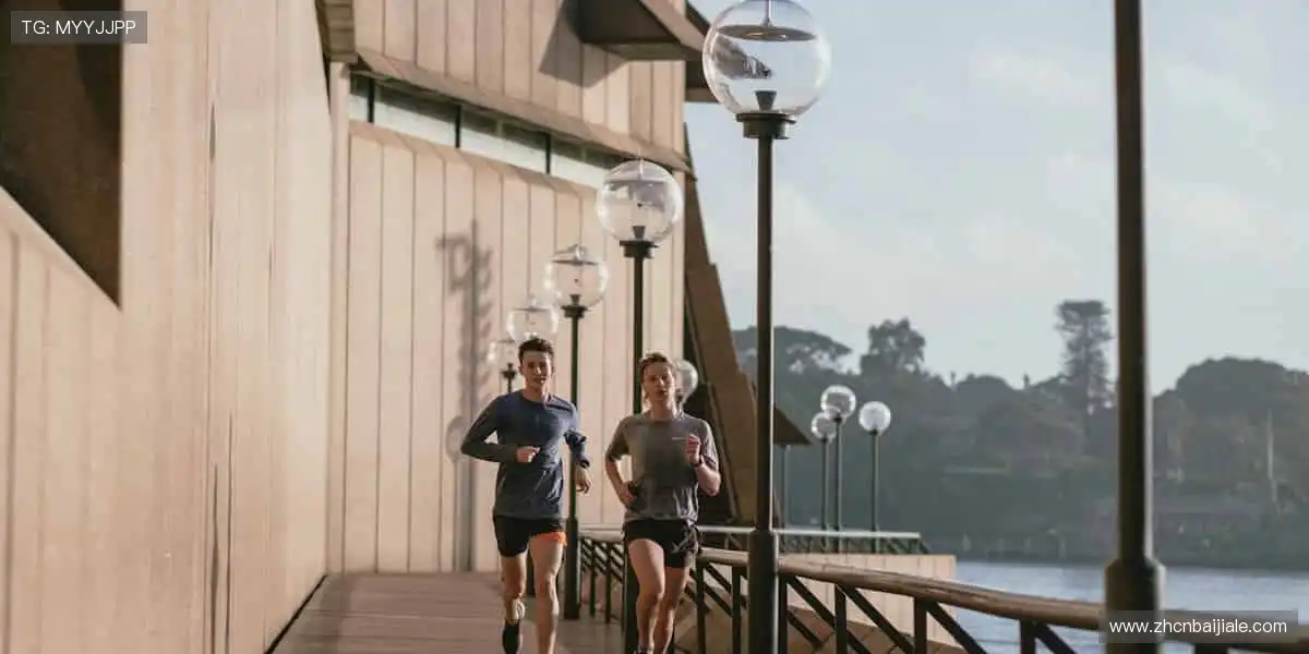 高清综合盛宴平台:视讯捕鱼真人体育,嗨玩升级